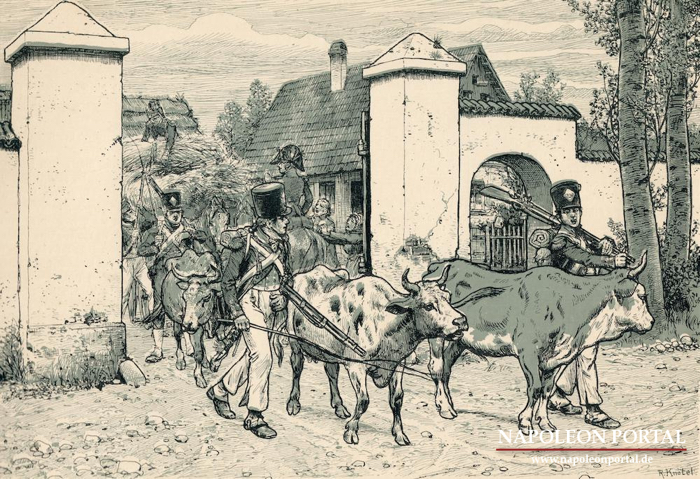 1807 - Eine Beitreibung.